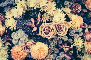 フローラルでエステリー？「花系」ウイスキーってどんな銘柄