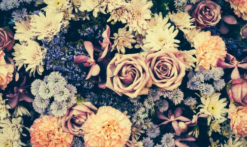 フローラルでエステリー？「花系」ウイスキーってどんな銘柄