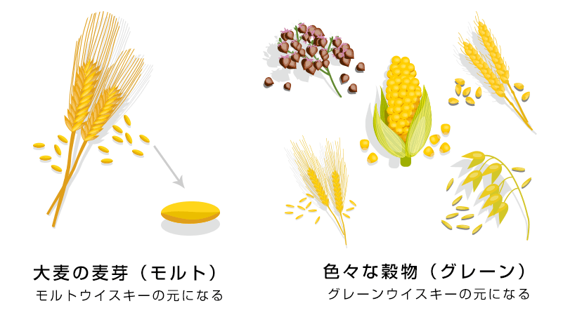 ウイスキーの原料となる穀物は大きく分けられる