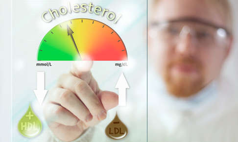 お酒好き必見。アルコールと善玉(HDL)悪玉(LDL)コレステロールの関係