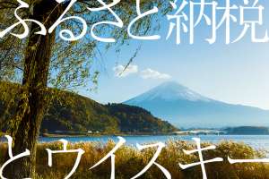 ふるさと納税のお礼品でもらえるウイスキーを調べてみた