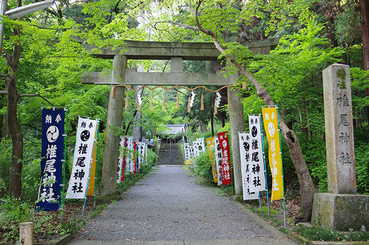 椎尾神社の鳥居