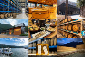 保護中: 静岡ウイスキー蒸溜所ツアー完全ガイド｜ガイアフローと秘境・井川を巡る「高低差」の旅