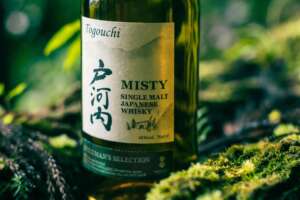戸河内 MISTY （ミスティー）が2024年5月中旬にリリース予定