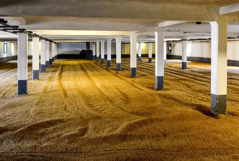 需要がない！？ディアジオがローズアイル製麦工場の操業を一時停止。