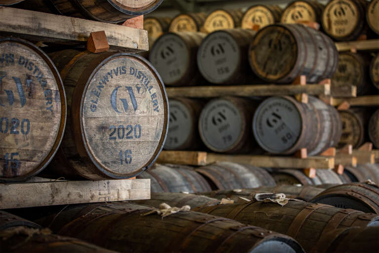 グレンウィヴィス、約9,500万円調達。「創業者との確執」を超え10年熟成へ